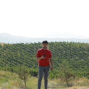 ���������� �������, ���� ������� �������, 28 ���, ������������ ��� ����� � ���������, c�������� ���������