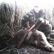 ���������� �������, ���� ������� ������ ���, 61 ���, ������������ ��� ������, ����� � ���������, c�������� ���������, ���������