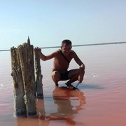  ,   Dmitryu, 52 ,     , c 