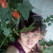 ���������� ���, ���� ������� �����, 53 ����, ������������ ��� ������, ����� � ���������, c�������� ���������