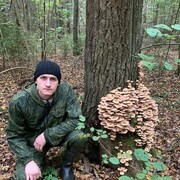 ���������� ������� ��������, ���� ������� �����, 34 ����, ������������ ��� ������, ����� � ���������