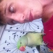 ���������� ����, ���� ������� ����, 37 ���, ������������ ��� ������, ����� � ���������, c�������� ���������