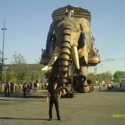  ,   Artis, 42 ,   ,   , c 