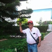 ���������� ������, ���� ������� ������, 62 ����, ������������ ��� ������, ����� � ���������, c�������� ���������