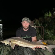 ���������� ���������, ���� ������� ���������, 34 ����, ������������ ��� ������