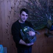 ���������� ������, ���� ������� �����, 38 ���, ������������ ��� ������, ����� � ���������