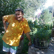 ���������� �������, ���� ������� ����, 44 ����, ������������ ��� ������, ����� � ���������, c�������� ���������