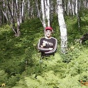 ���������� ����������, ���� ������� �������, 40 ���, ������������ ��� ������