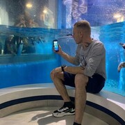 ���������� �����������, ���� ������� ������, 36 ���, ������������ ��� ������, ����� � ���������, c�������� ���������, ���������