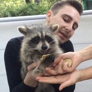 ���������� ������-��-����, ���� ������� ����, 31 ���, ������������ 