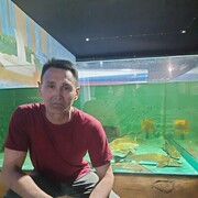 ���������� �������, ���� ������� ������, 56 ���, ������������ ��� ������, ����� � ���������