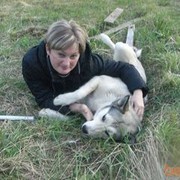 ���������� ����, ���� ������� ��������, 56 ���, ������������ ��� ����� � ���������, c�������� ���������