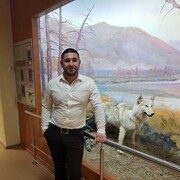 ���������� �����������, ���� ������� ����, 43 ����, ������������ ��� ������, ����� � ���������