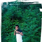 ���������� �������, ���� ������� Komil, 35 ���, ������������ ��� ������, ����� � ���������, c�������� ���������