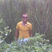  ,   , 41 ,     , c 