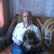  ,   , 51 ,   ,   