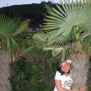  ,   , 34 ,   ,   , c 