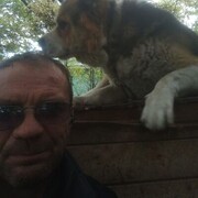 ���������� �����������, ���� ������� �������, 48 ���, ������������ ��� ������, ����� � ���������