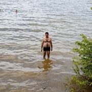 ���������� ������ ��������, ���� ������� Vigen, 38 ���, ������������ ��� ������, ����� � ���������, c�������� ���������