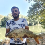 ���������� �������, ���� ������� Stefan, 35 ���, ������������ ��� ������, ����� � ���������