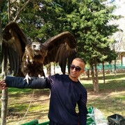 ���������� �������, ���� ������� Ikrom, 38 ���, ������������ ��� ������, ����� � ���������