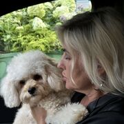 ���������� ������, ���� ������� �����, 53 ����, ������������ ��� ������, ����� � ���������