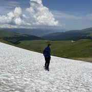 ���������� ������-��-����, ���� ������� ��������, 34 ����, ������������ ��� ������, ����� � ���������, c�������� ���������