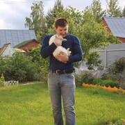 ���������� ������, ���� ������� ������, 50 ���, ������������ ��� ����� � ���������, c�������� ���������