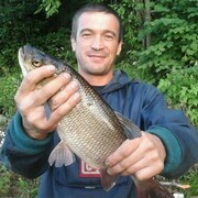 ���������� ���������, ���� ������� �����, 49 ���, ������������ ��� ������, ����� � ���������