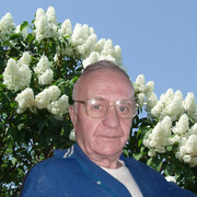 ���������� ���������� �����, ���� ������� ��������, 78 ���, ������������ ��� ������, ����� � ���������