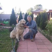 ���������� �����, ���� ������� ������, 56 ���, ������������ ��� ������, ���������