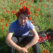 ���������� ������, ���� ������� Tilek, 32 ����, ������������ ��� ������, ����� � ���������, c�������� ���������