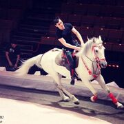 ���������� ������������, ���� ������� ������, 30 ���, ������������ ��� ������, ����� � ���������