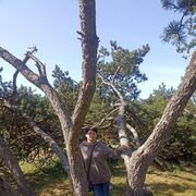 ���������� ������, ���� ������� ����, 59 ���, ������������ ��� ������, ����� � ���������