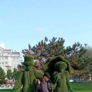  ,   , 102 ,   ,   , c , 