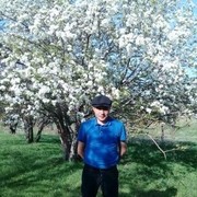  ,   SEMA, 37 ,   ,   , c 