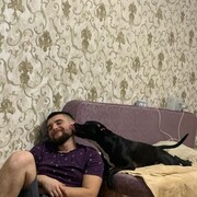  ,   German, 25 ,   ,   