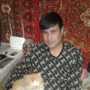 ,   , 41 ,     , c 