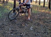 ���������� ���������, ���� ������� ����, 33 ����, ������������ ��� ������, ����� � ���������, c�������� ���������