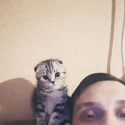  ,   , 33 ,   ,   