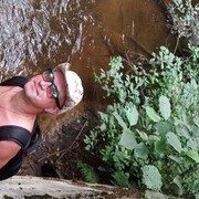  -,   , 39 ,   ,   , c 