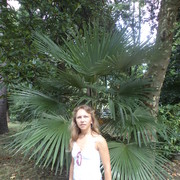 ���������� �����-���������, ���� ������� �����, 49 ���, ������������ ��� ������, ����� � ���������, c�������� ���������