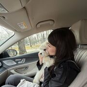 ���������� �����-���������, ����