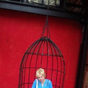  ,   , 65 ,  
