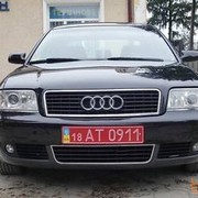 ���������� ������, ���� ������� ����, 31 ���, ������������ ��� ������