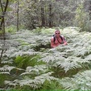  ,   , 49 ,   ,   