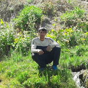  ,   Alli, 31 ,   ,   , c 