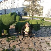 ���������� �����������, ���� ������� �������, 40 ���, ������������ ��� c�������� ���������