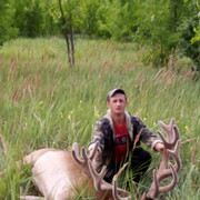 ���������� ���������, ������� �������, 40