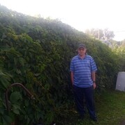   ,   , 59 ,   ,   
